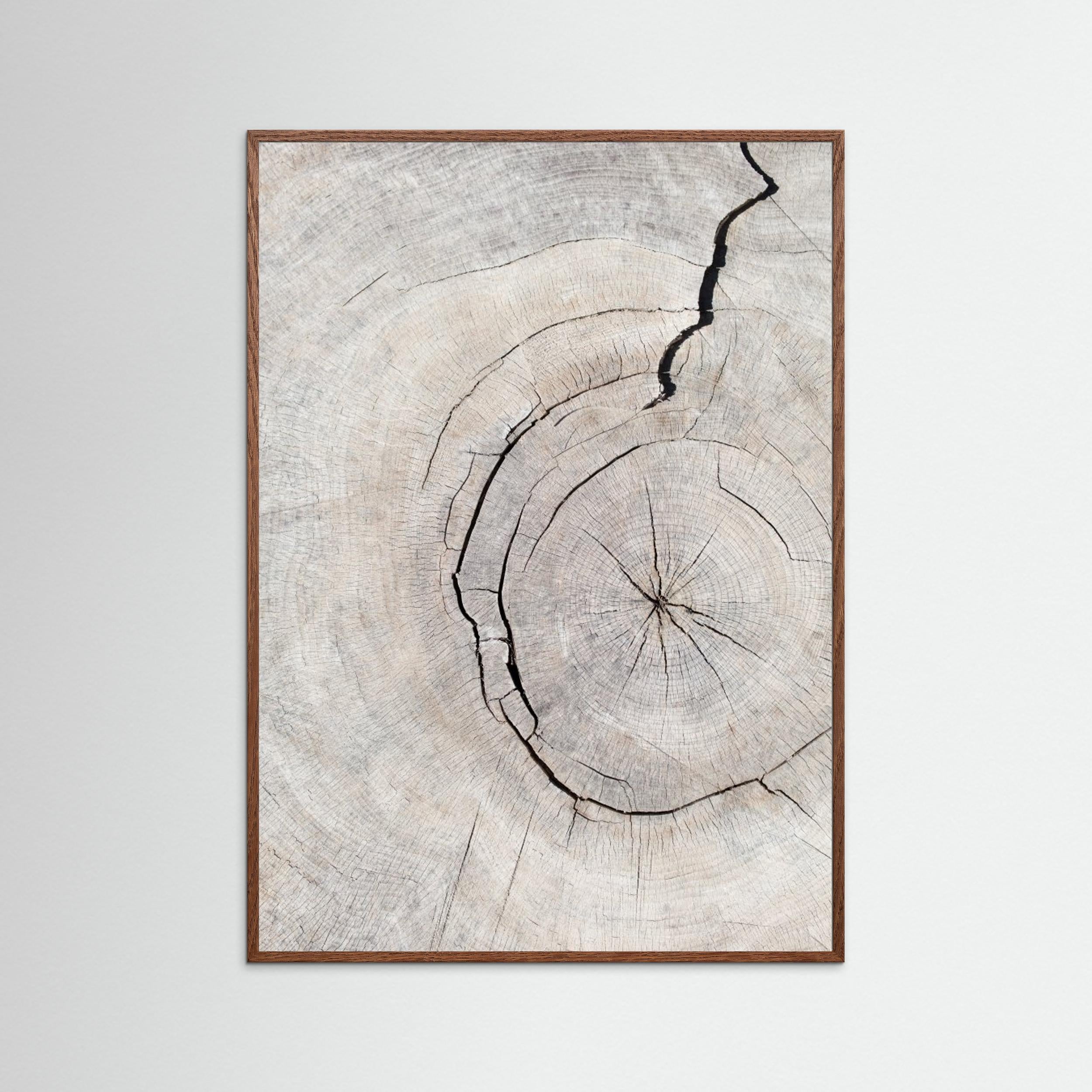 Wood Ring Print by Pictufy Studio III | Scandi Wall Art - Framed Pop Art