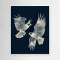 Large Framed Wall Art – Elegant Falcon Birds Canvas - Framed Pop Art