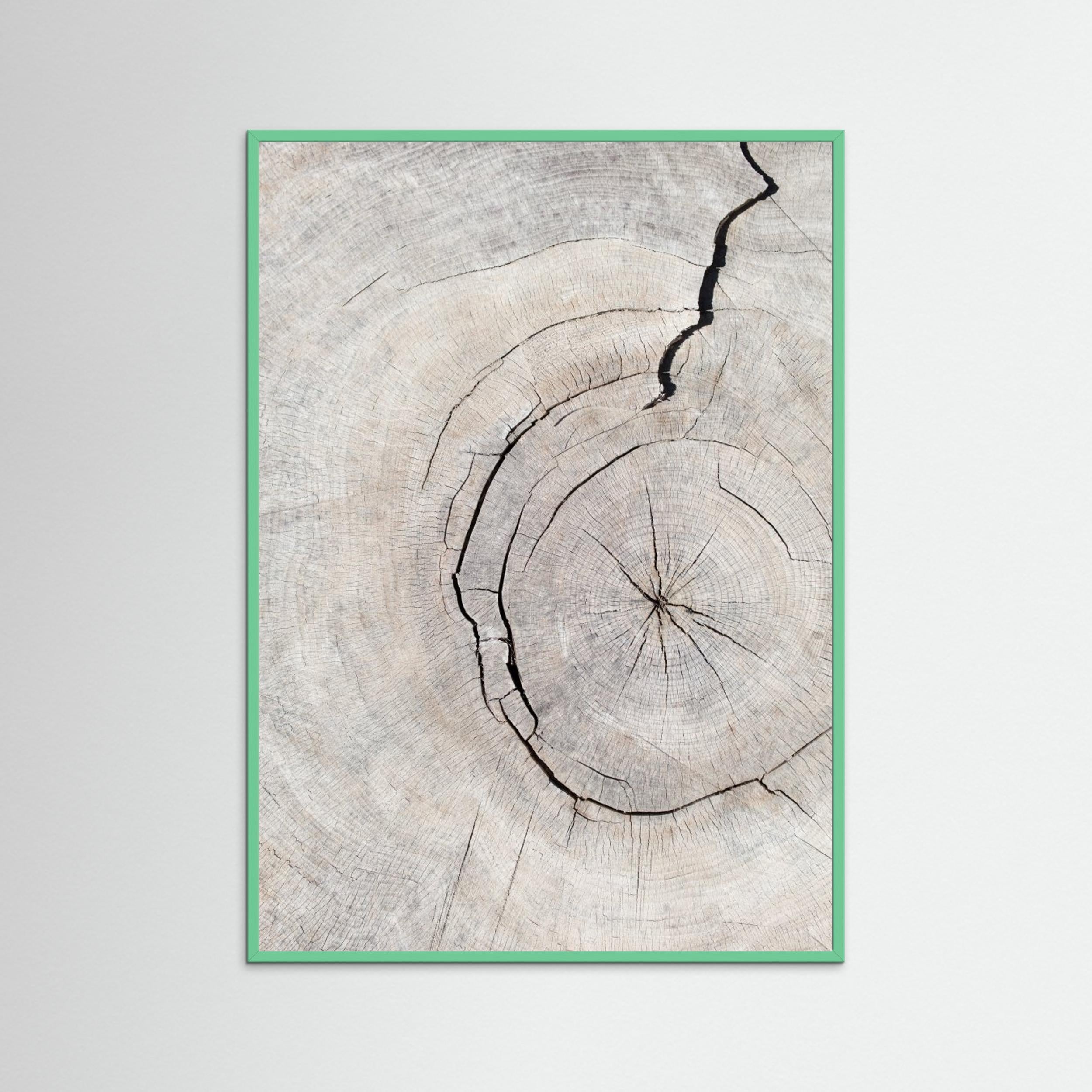 Wood Ring Print by Pictufy Studio III | Scandi Wall Art - Framed Pop Art