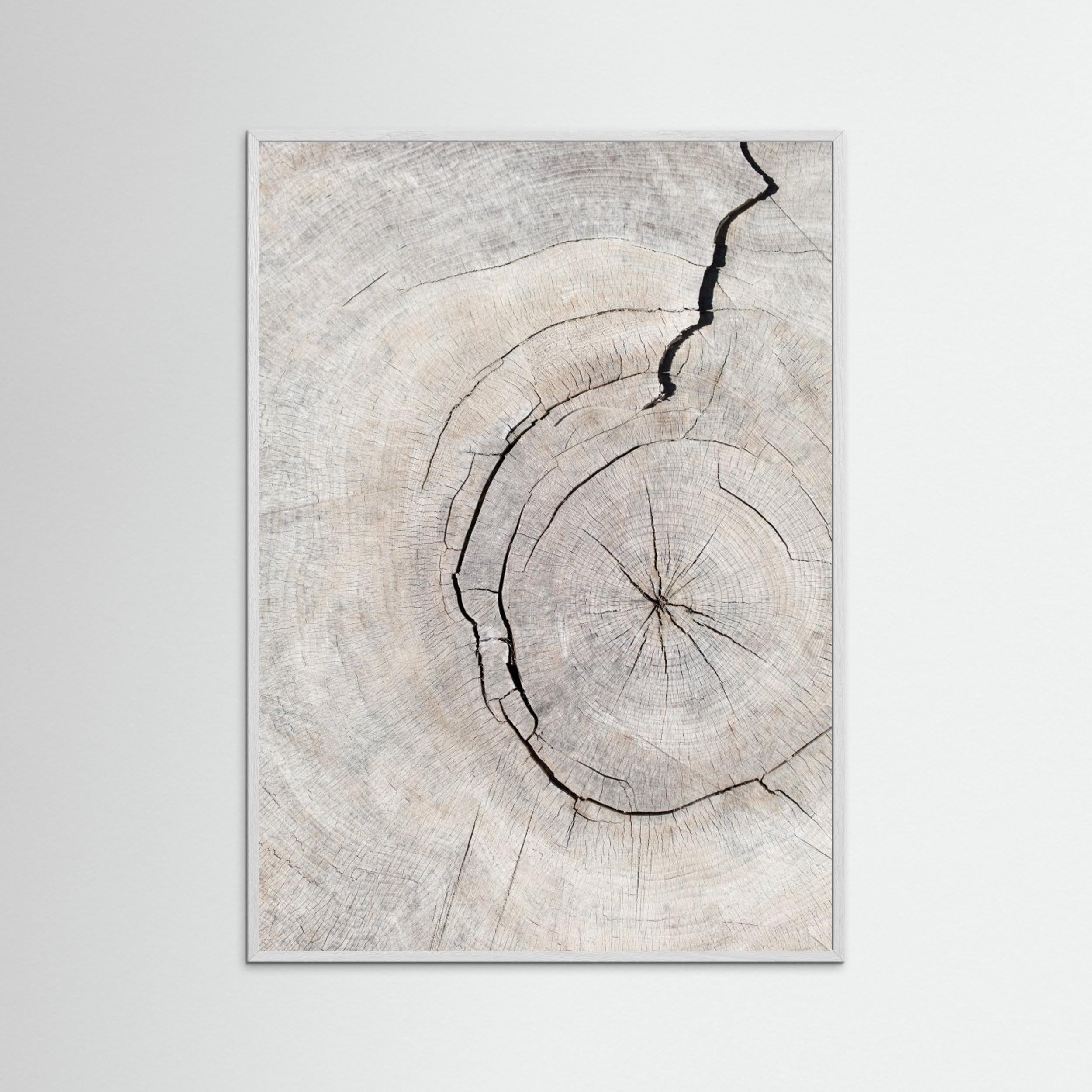 Wood Ring Print by Pictufy Studio III | Scandi Wall Art - Framed Pop Art