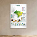 Brazil Travel Infographic Poster | Vibrant Canvas Wall Art - Framed Pop Art