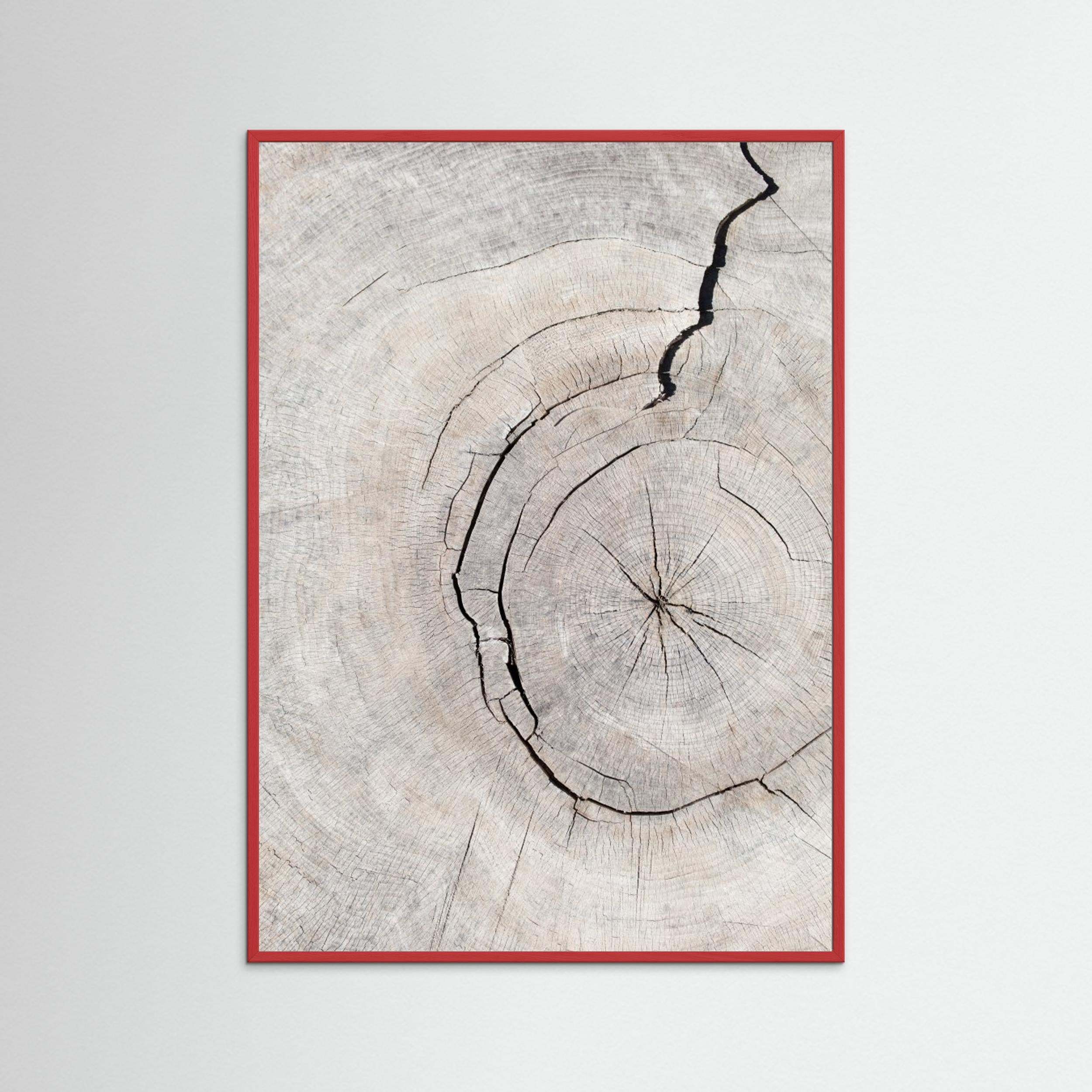 Wood Ring Print by Pictufy Studio III | Scandi Wall Art - Framed Pop Art