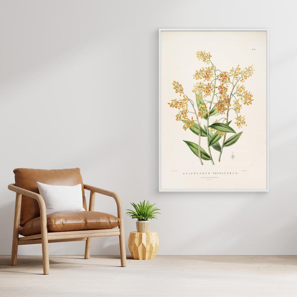 Vintage Botanical Orchid Print | Period Home Wall Art - Framed Pop Art