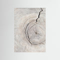 Wood Ring Print by Pictufy Studio III | Scandi Wall Art - Framed Pop Art