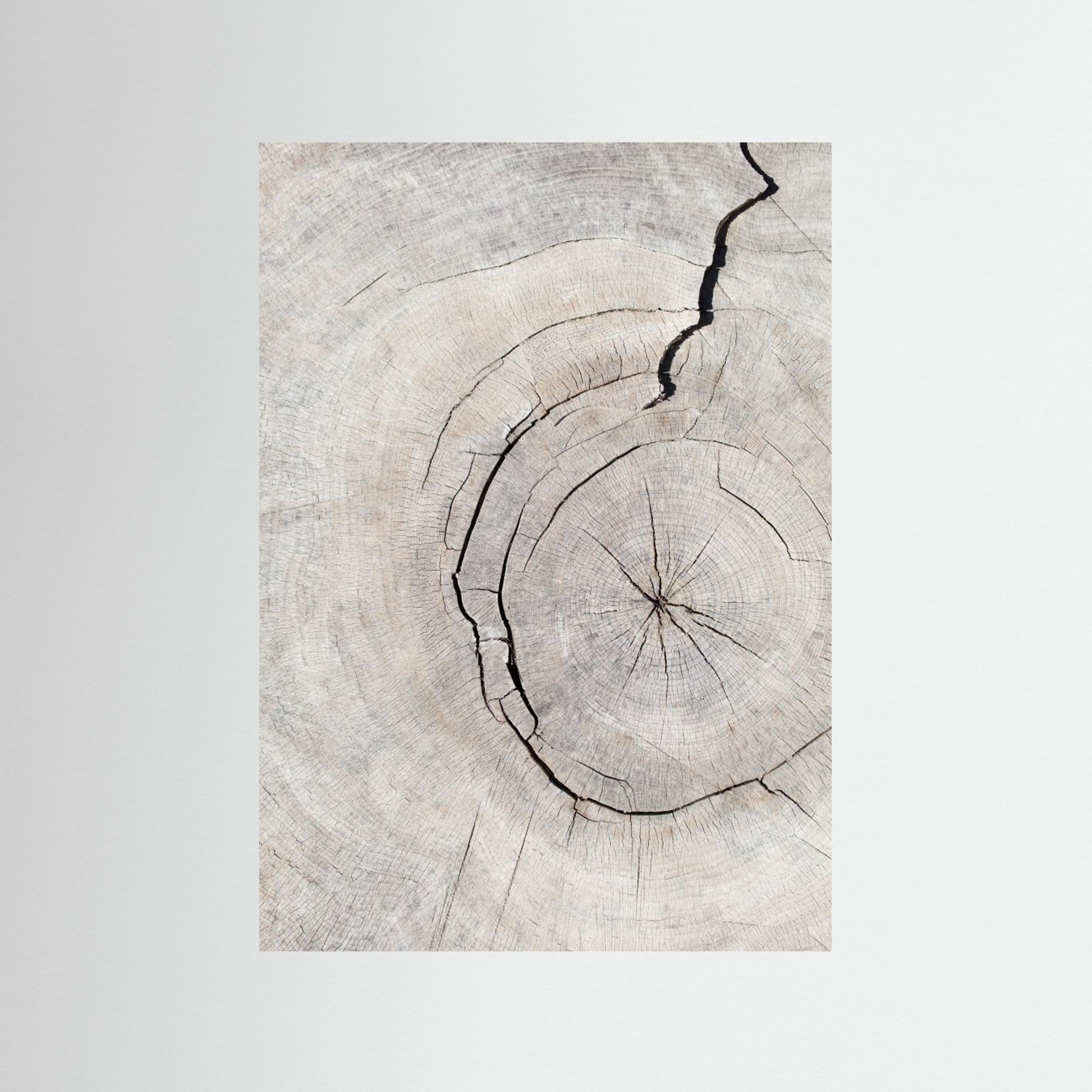 Wood Ring Print by Pictufy Studio III | Scandi Wall Art - Framed Pop Art