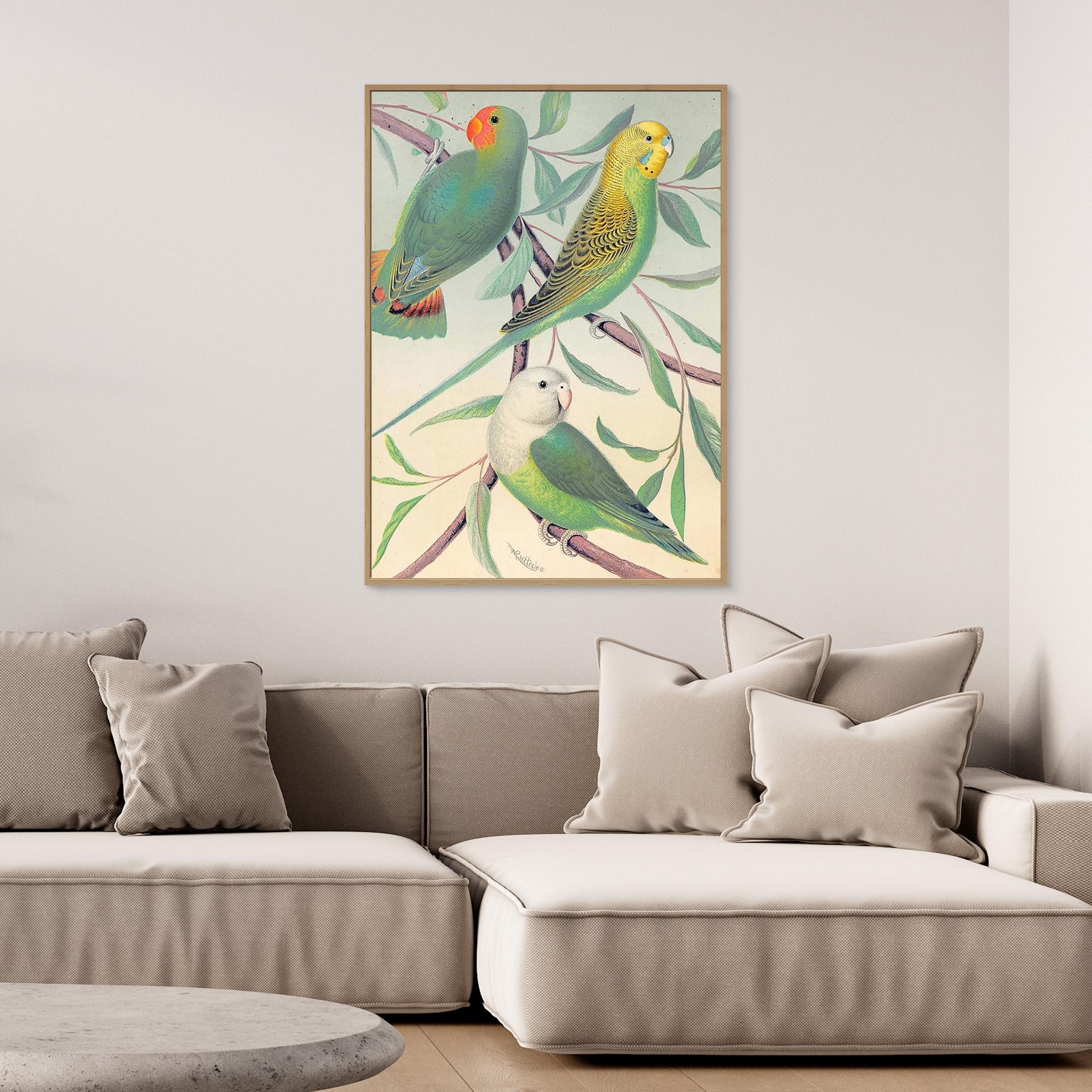 Vintage Budgie Wall Art for Nursery & Bedroom Decor - Framed Pop Art