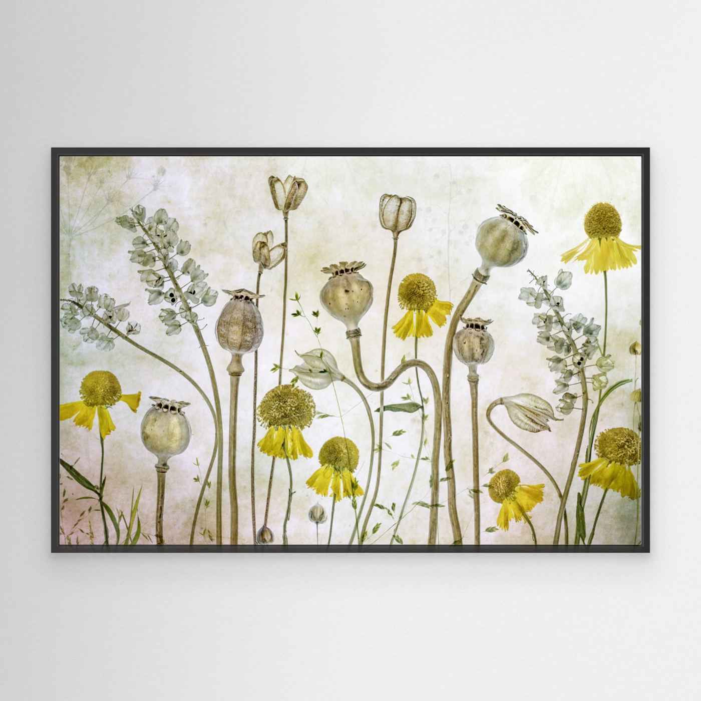 Botanical Wildflower Wall Art | Vintage Floral Kitchen Decor