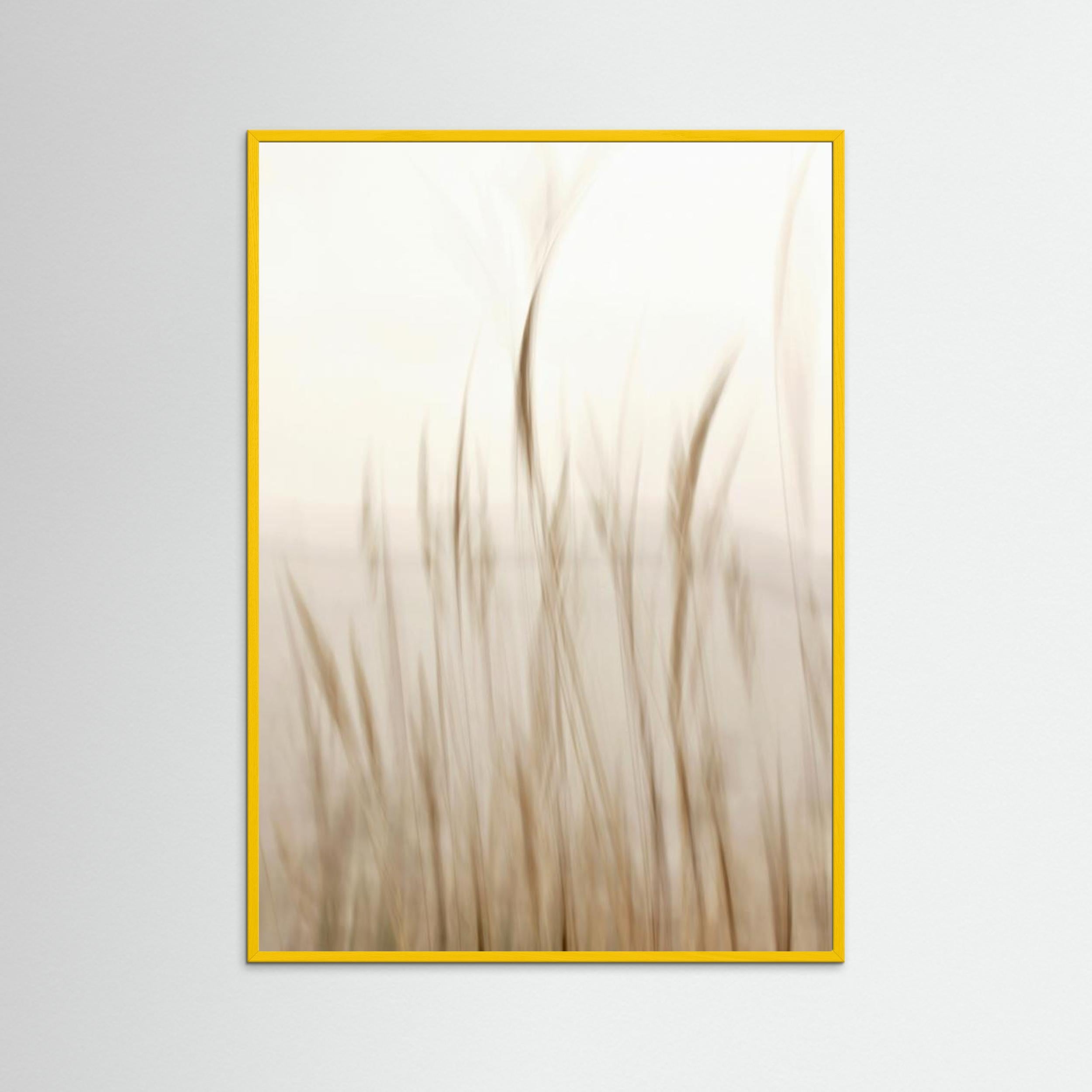 In the Wind by Christina Sillen | Boho Nursery Wall Art - Framed Pop Art