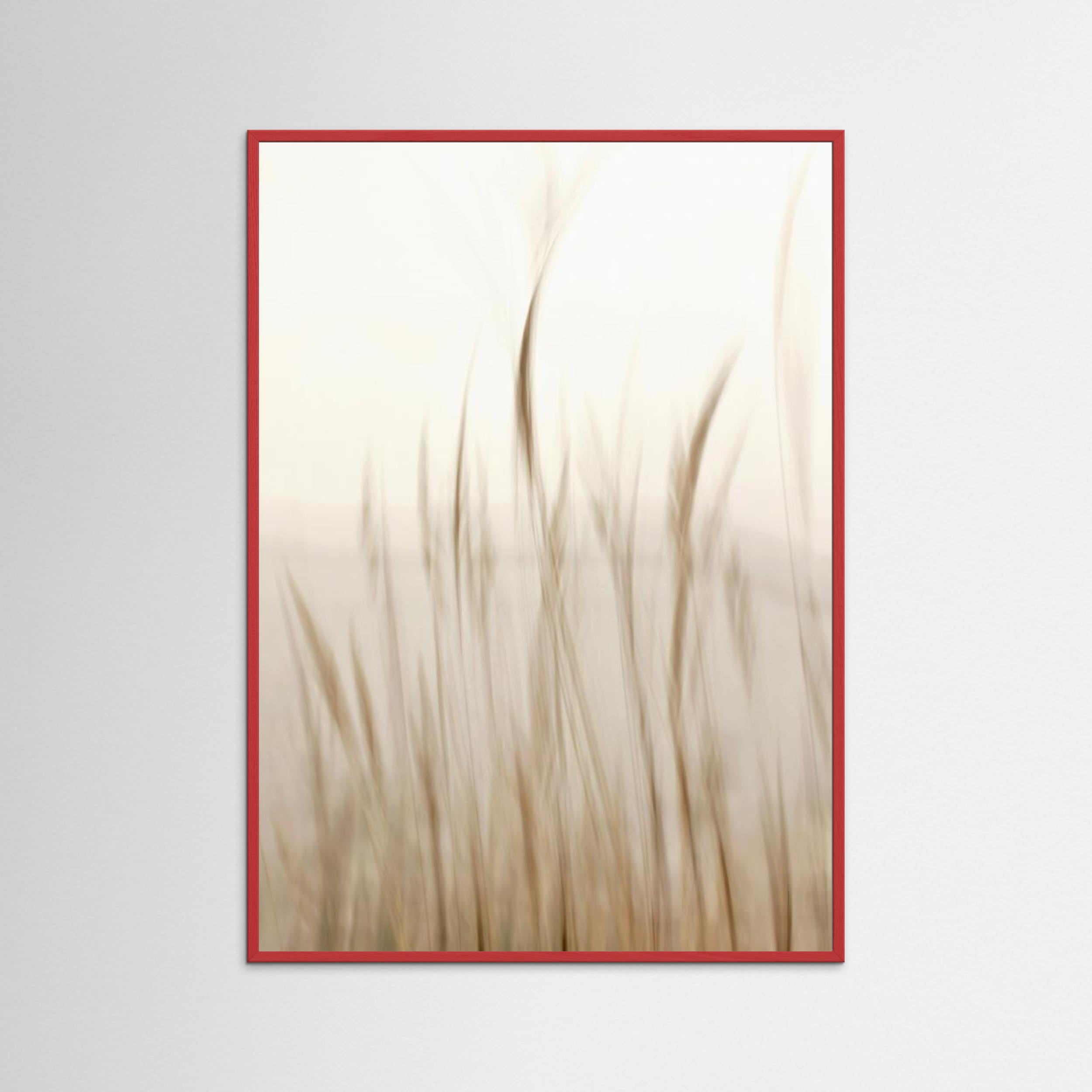 In the Wind by Christina Sillen | Boho Nursery Wall Art - Framed Pop Art