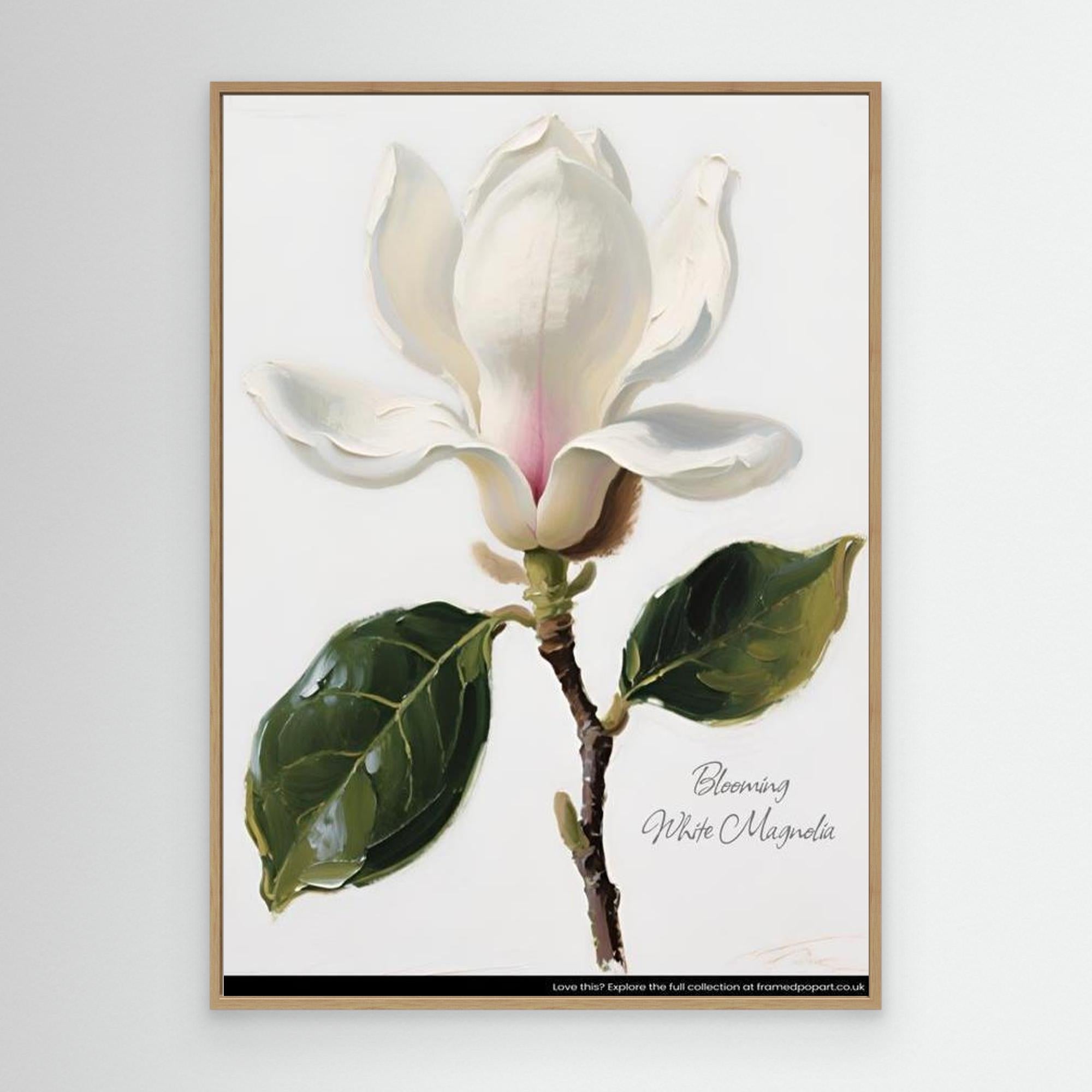 Free White Magnolia Floral Art Print | Nursery & Bedroom Decor - Framed Pop Art