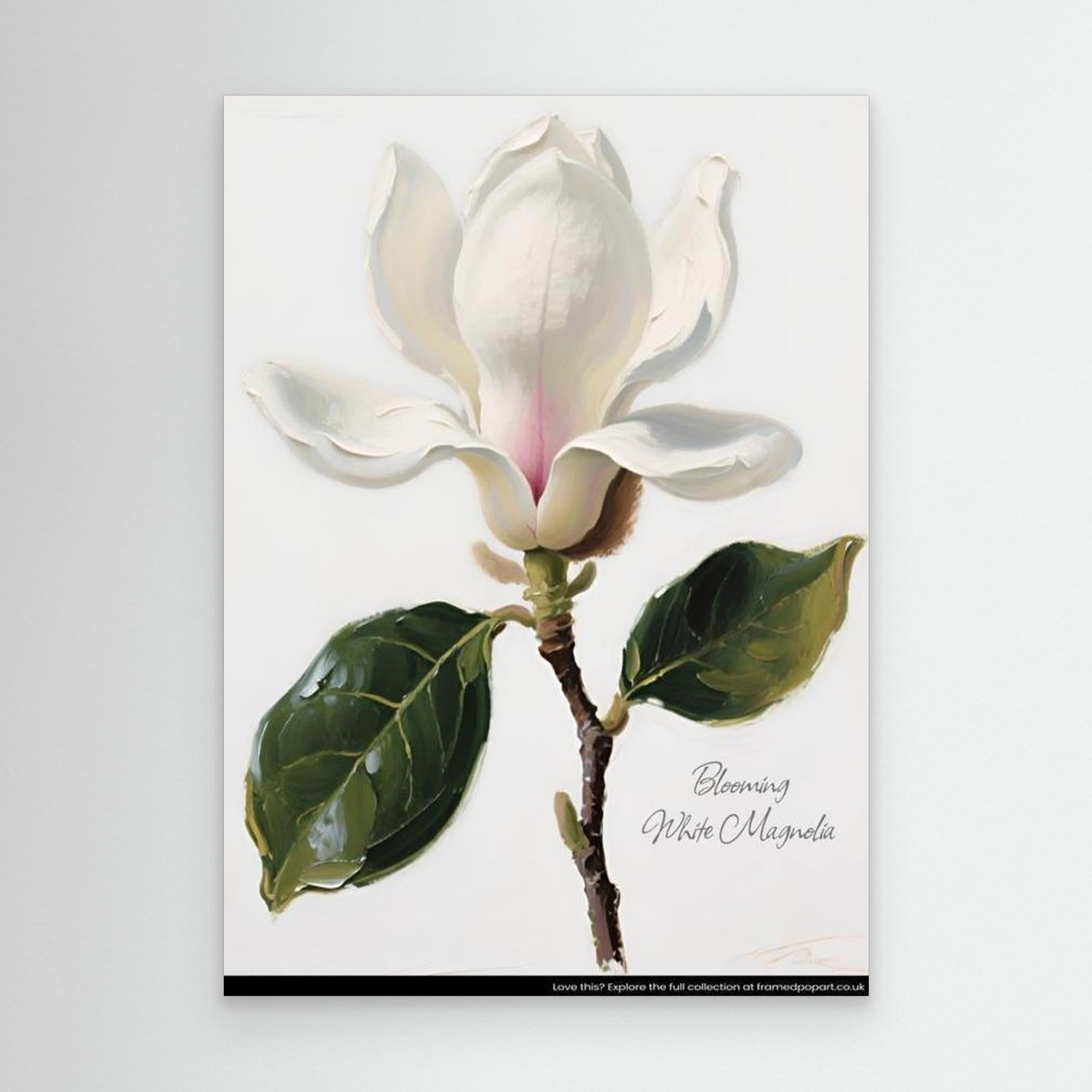 Free White Magnolia Floral Art Print | Nursery & Bedroom Decor - Framed Pop Art