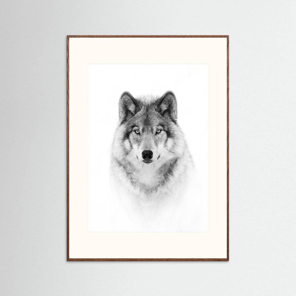 Timber Wolf Portrait Black & White Photographic Framed Fine Art Print