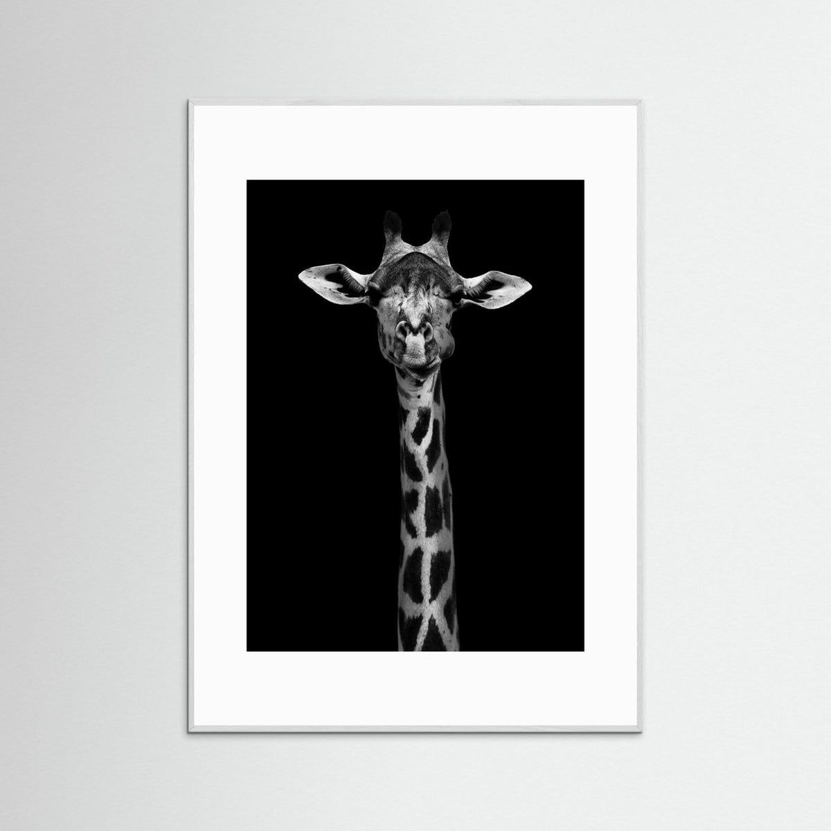 Giraffe Portrait Black & White Photographic Framed Fine Art Print