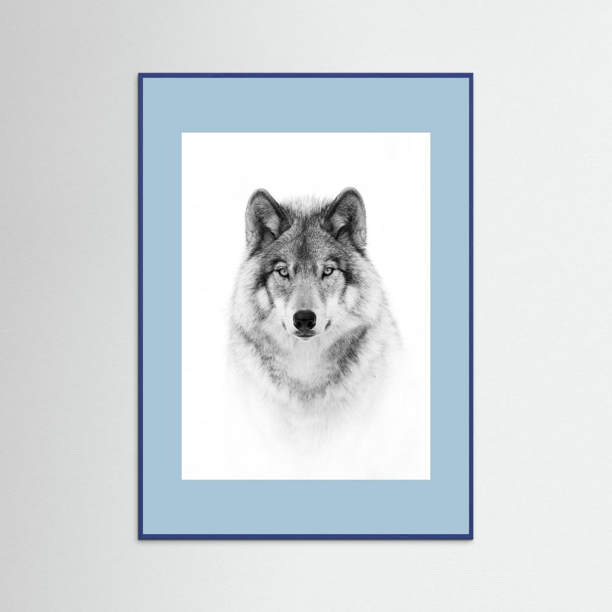 Timber Wolf Portrait Black & White Photographic Framed Fine Art Print