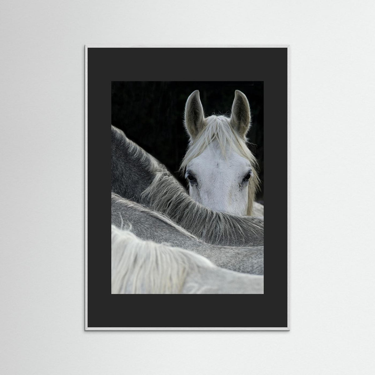 Look White Horse Portrait Photographic Framed Fine Art Print