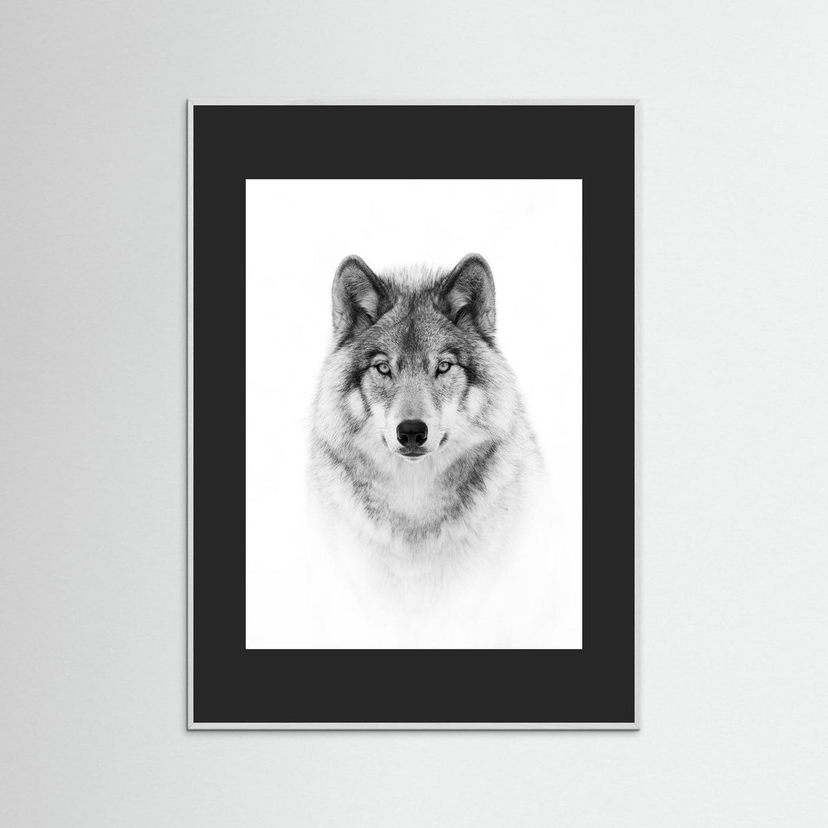 Timber Wolf Portrait Black & White Photographic Framed Fine Art Print