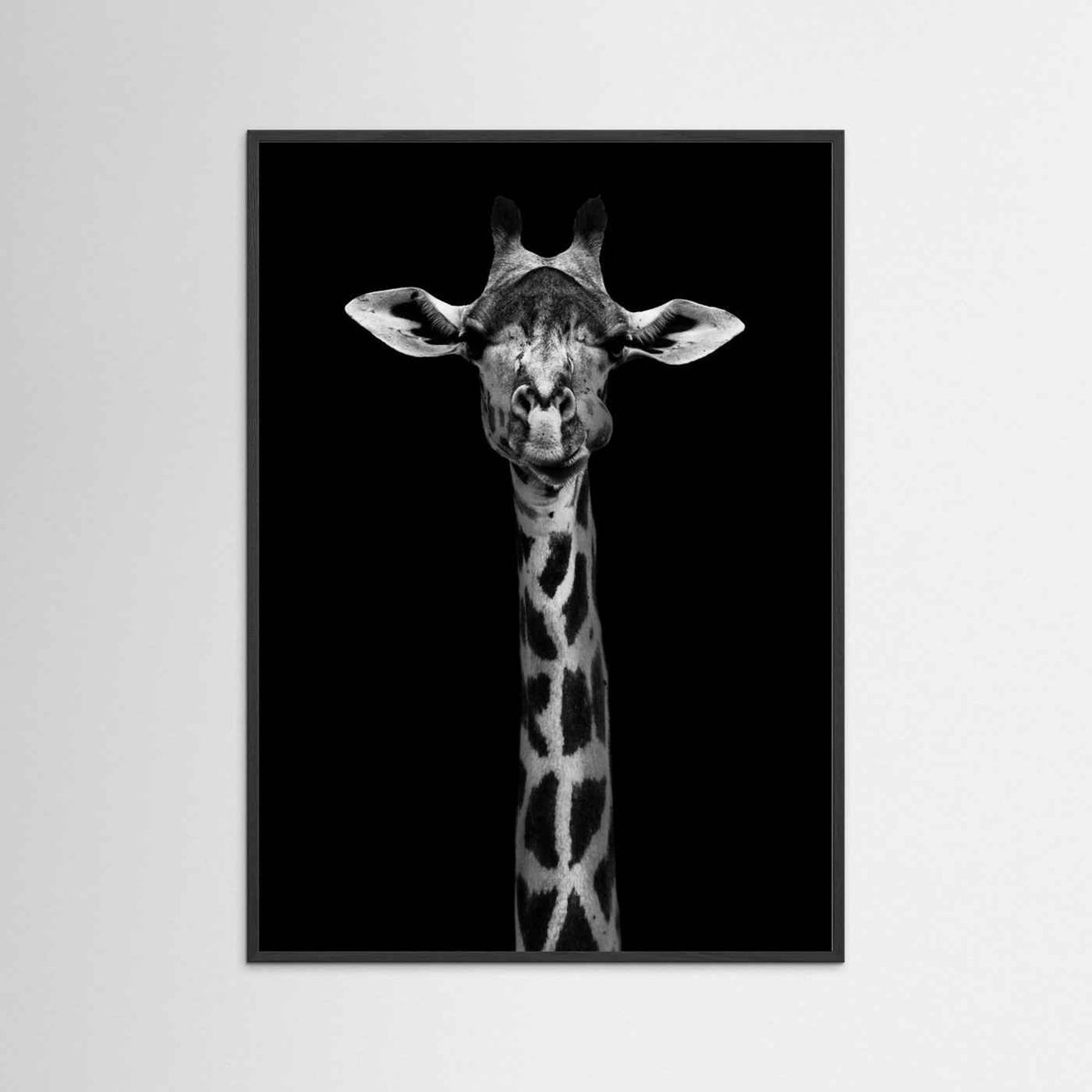 Giraffe Portrait Black & White Photographic Framed Fine Art Print