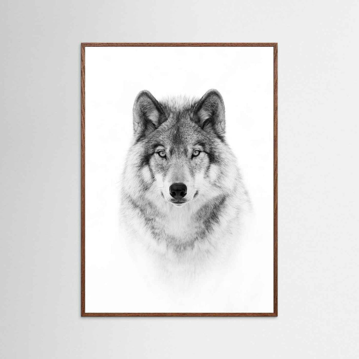 Timber Wolf Portrait Black & White Photographic Framed Fine Art Print