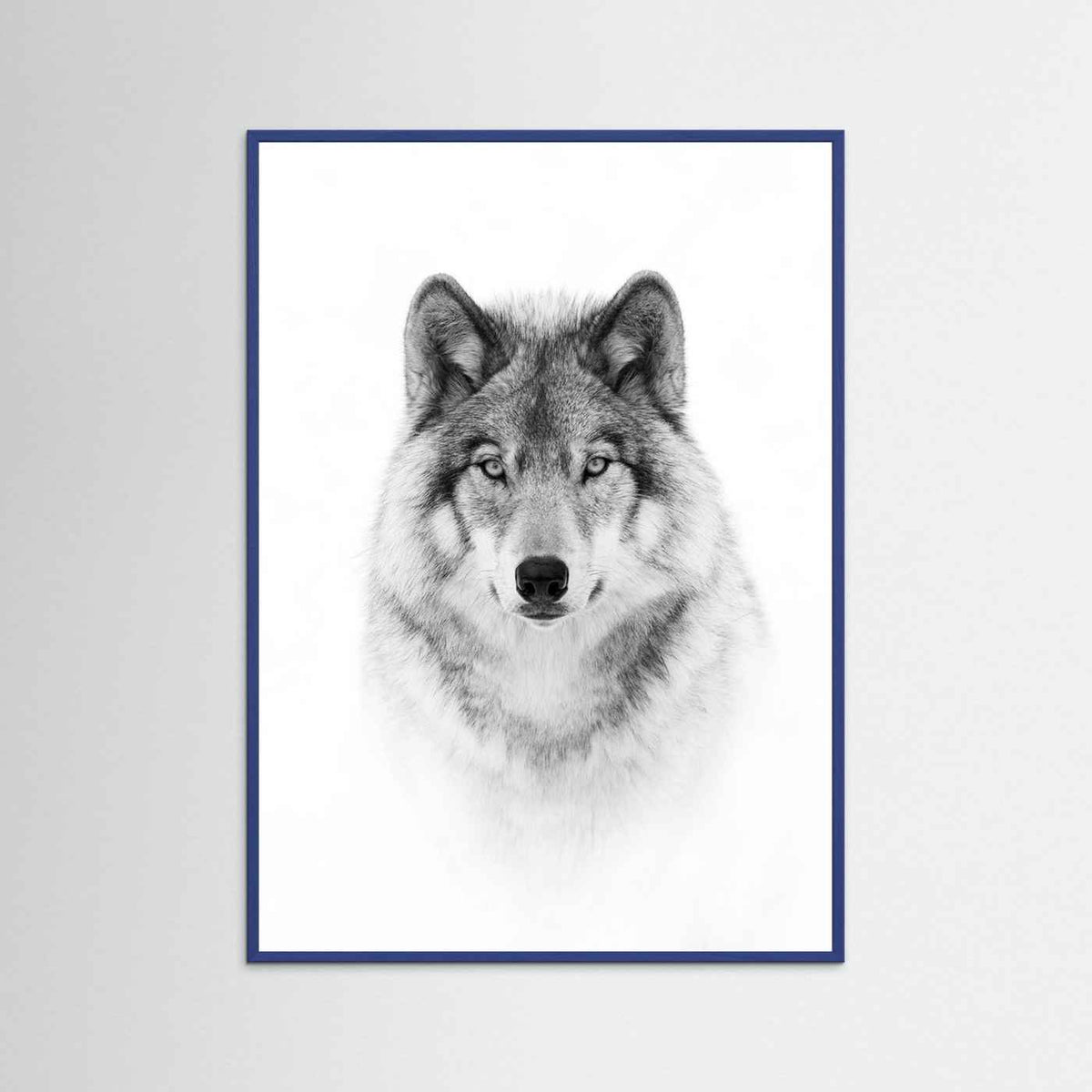 Timber Wolf Portrait Black & White Photographic Framed Fine Art Print