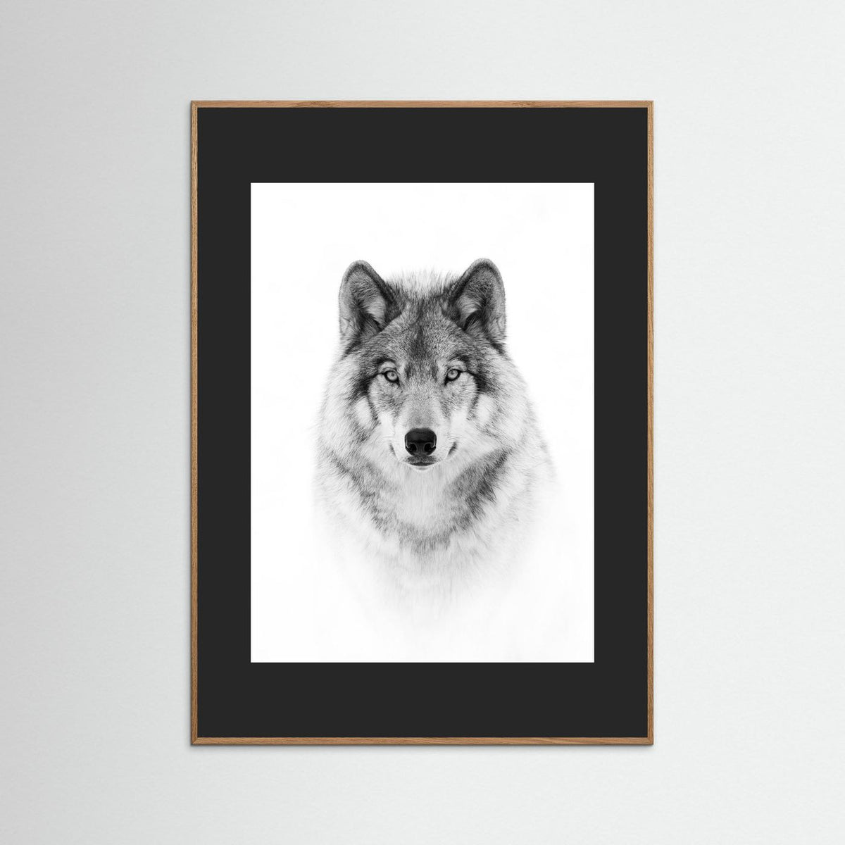 Timber Wolf Portrait Black & White Photographic Framed Fine Art Print