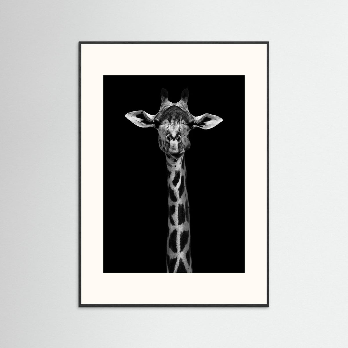 Giraffe Portrait Black & White Photographic Framed Fine Art Print