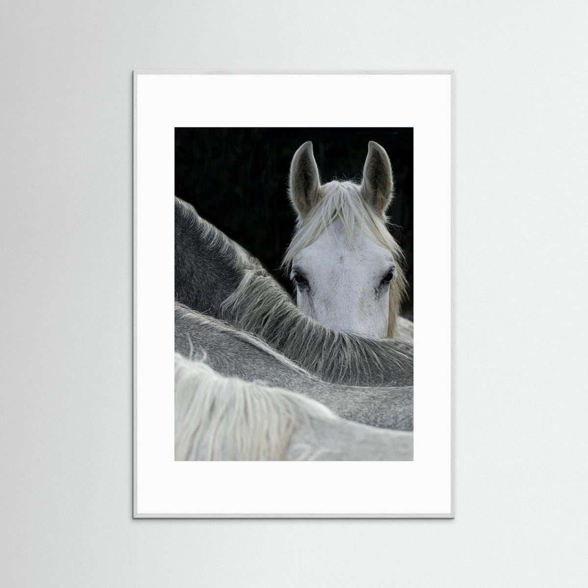 Look White Horse Portrait Photographic Framed Fine Art Print