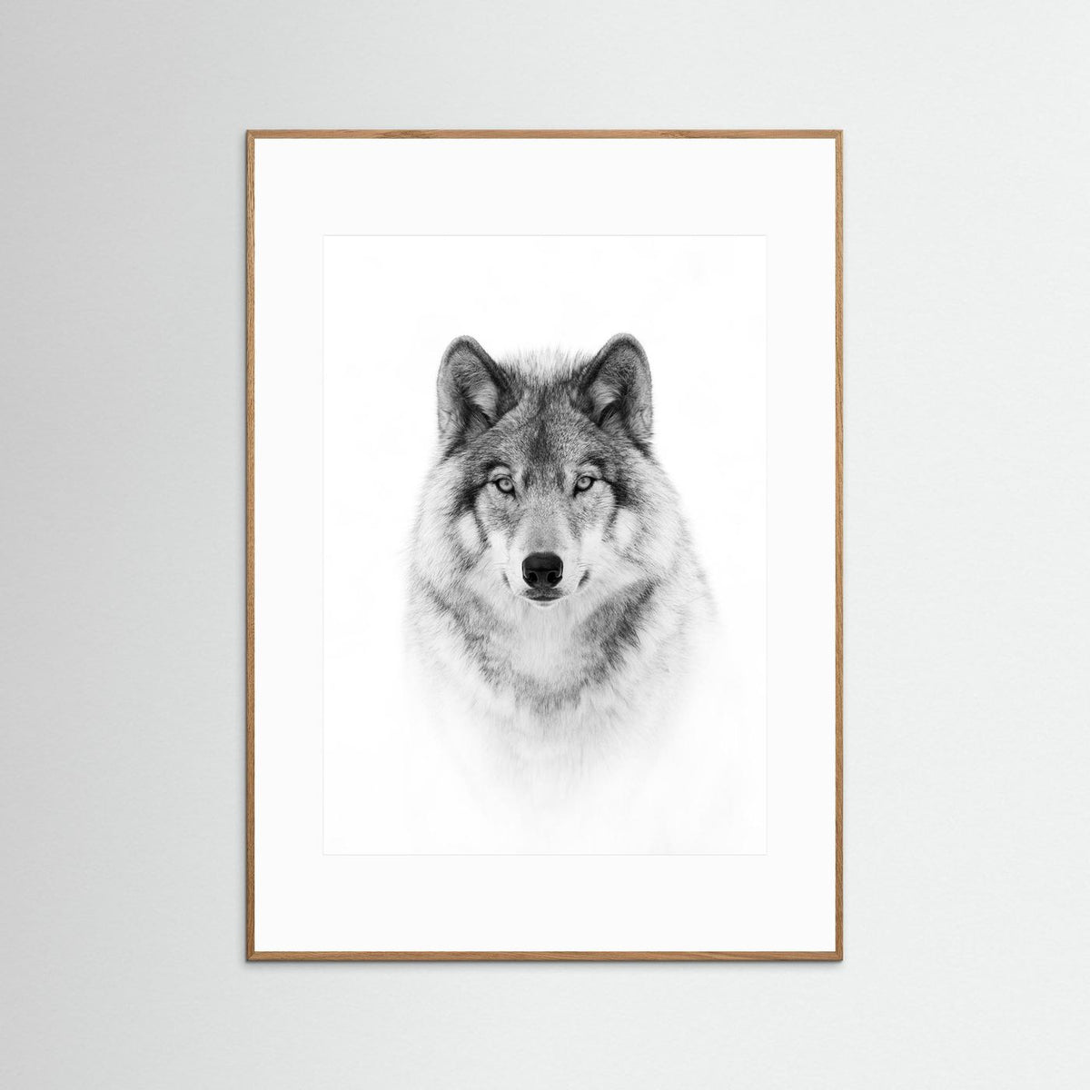 Timber Wolf Portrait Black & White Photographic Framed Fine Art Print