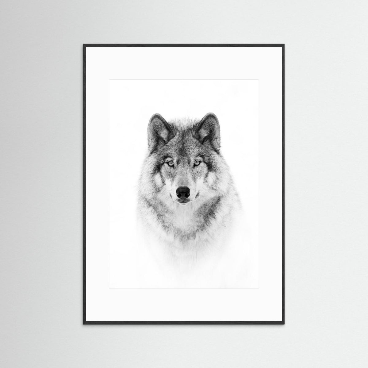 Timber Wolf Portrait Black & White Photographic Framed Fine Art Print