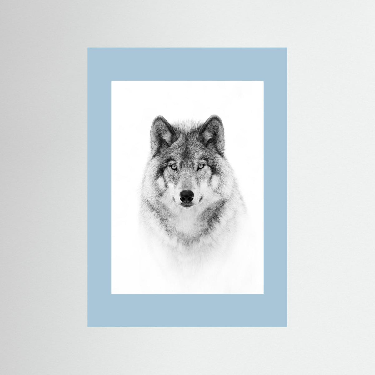 Timber Wolf Portrait Black & White Photographic Framed Fine Art Print