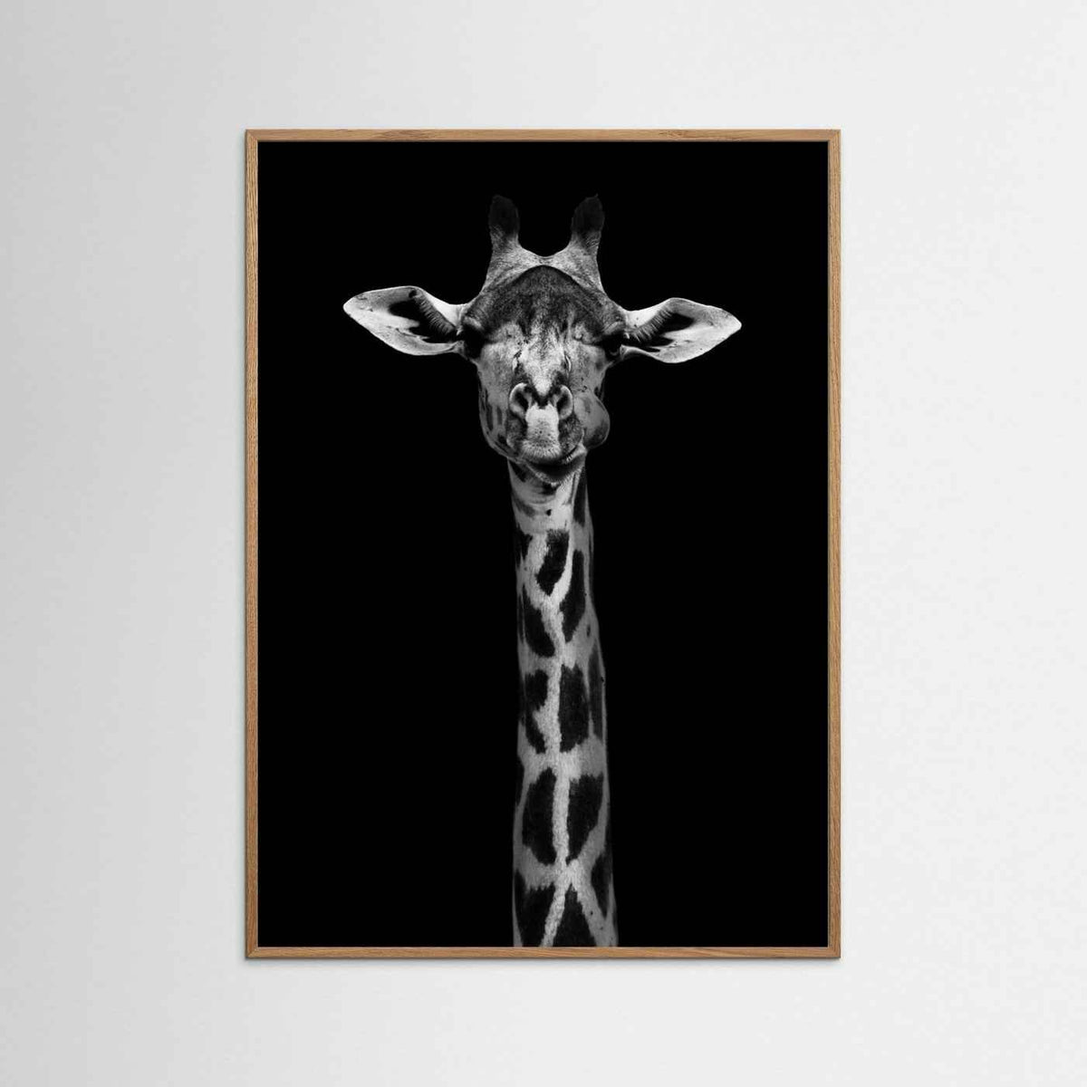 Giraffe Portrait Black & White Photographic Framed Fine Art Print