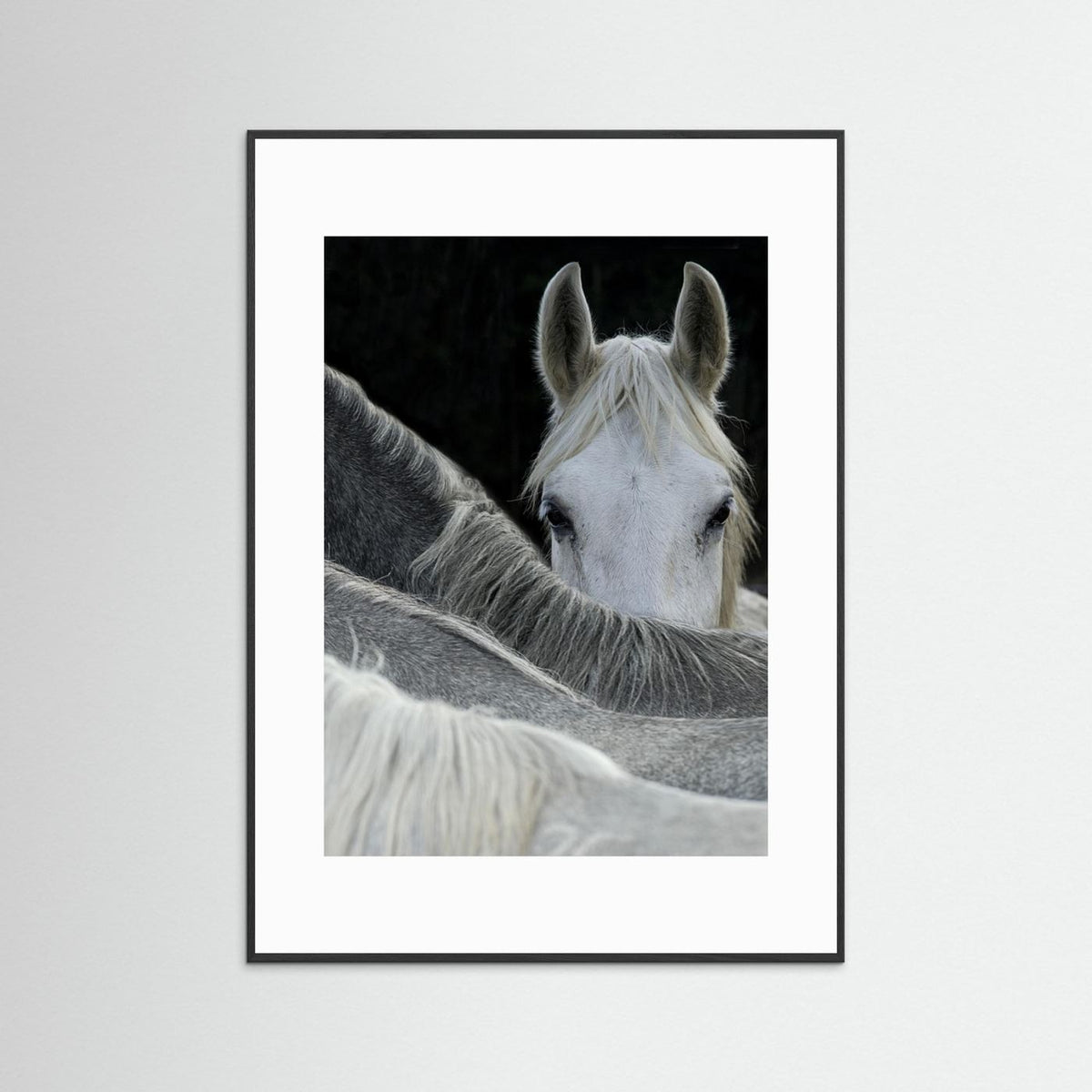 Look White Horse Portrait Photographic Framed Fine Art Print