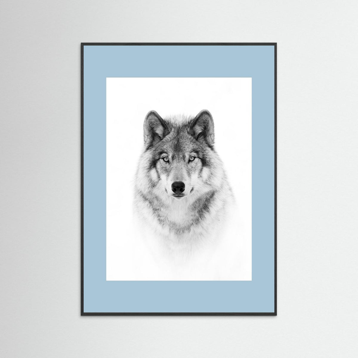 Timber Wolf Portrait Black & White Photographic Framed Fine Art Print