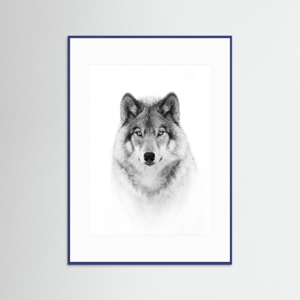 Timber Wolf Portrait Black & White Photographic Framed Fine Art Print