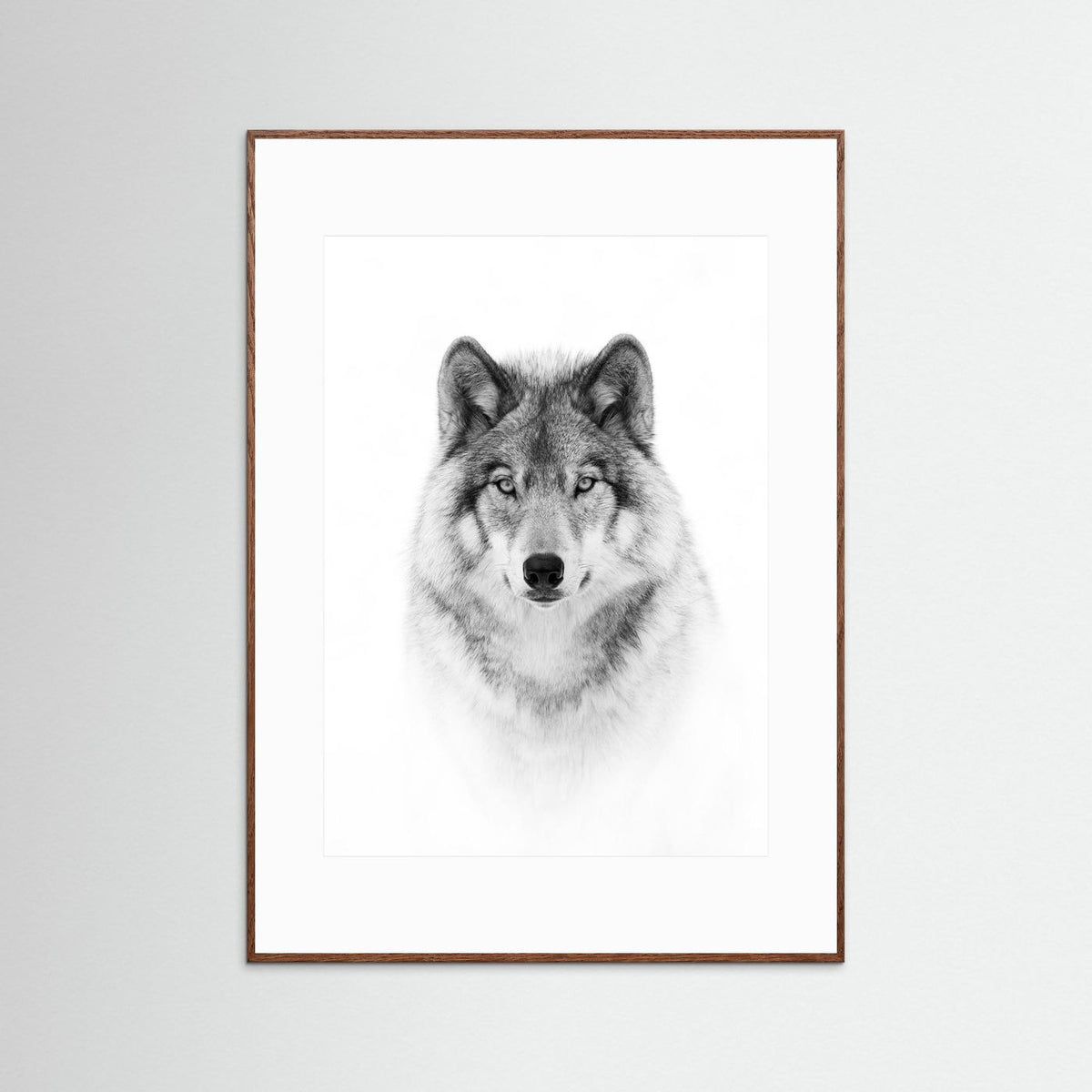 Timber Wolf Portrait Black & White Photographic Framed Fine Art Print