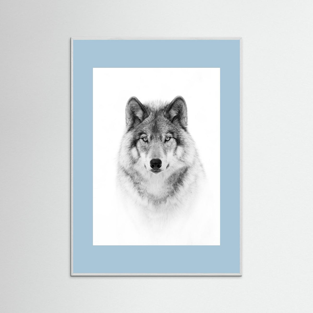 Timber Wolf Portrait Black & White Photographic Framed Fine Art Print