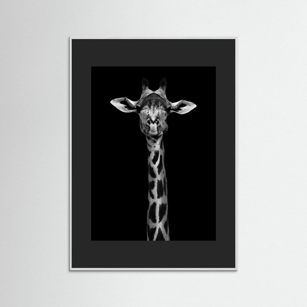Giraffe Portrait Black & White Photographic Framed Fine Art Print