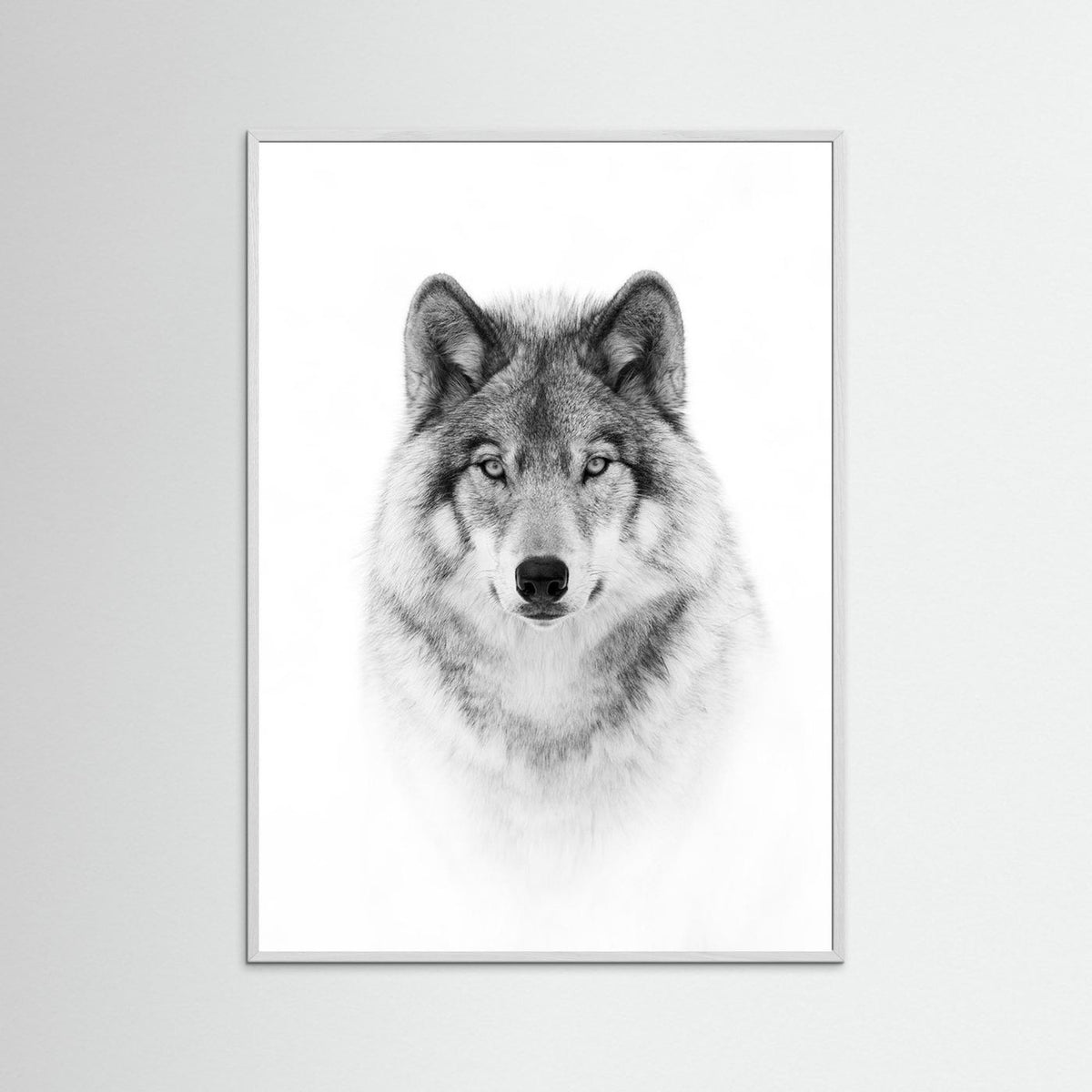Timber Wolf Portrait Black & White Photographic Framed Fine Art Print