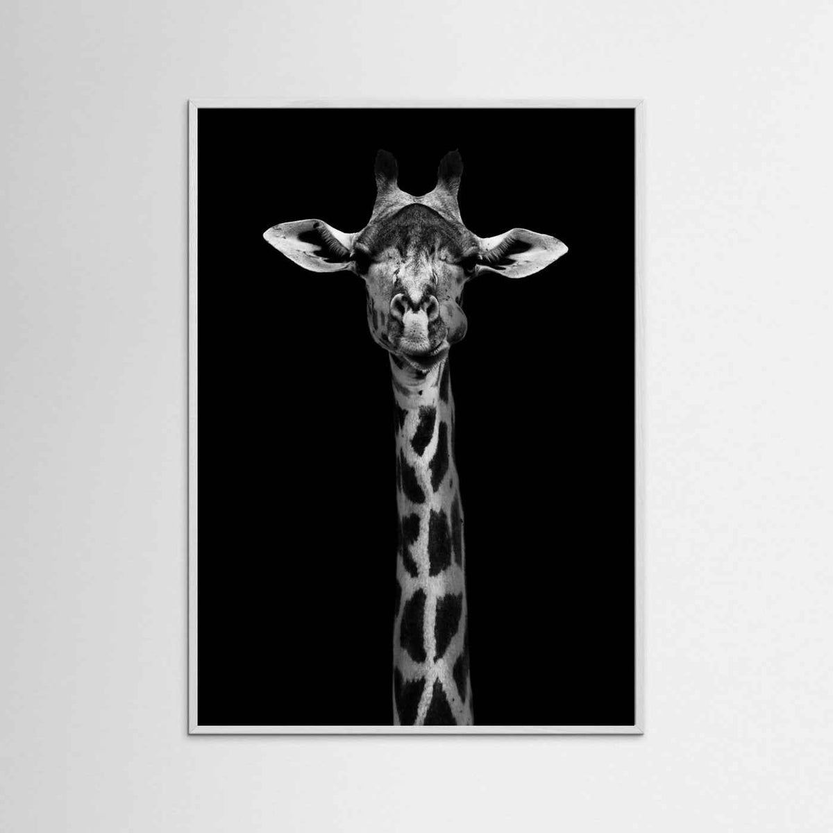 Giraffe Portrait Black & White Photographic Framed Fine Art Print