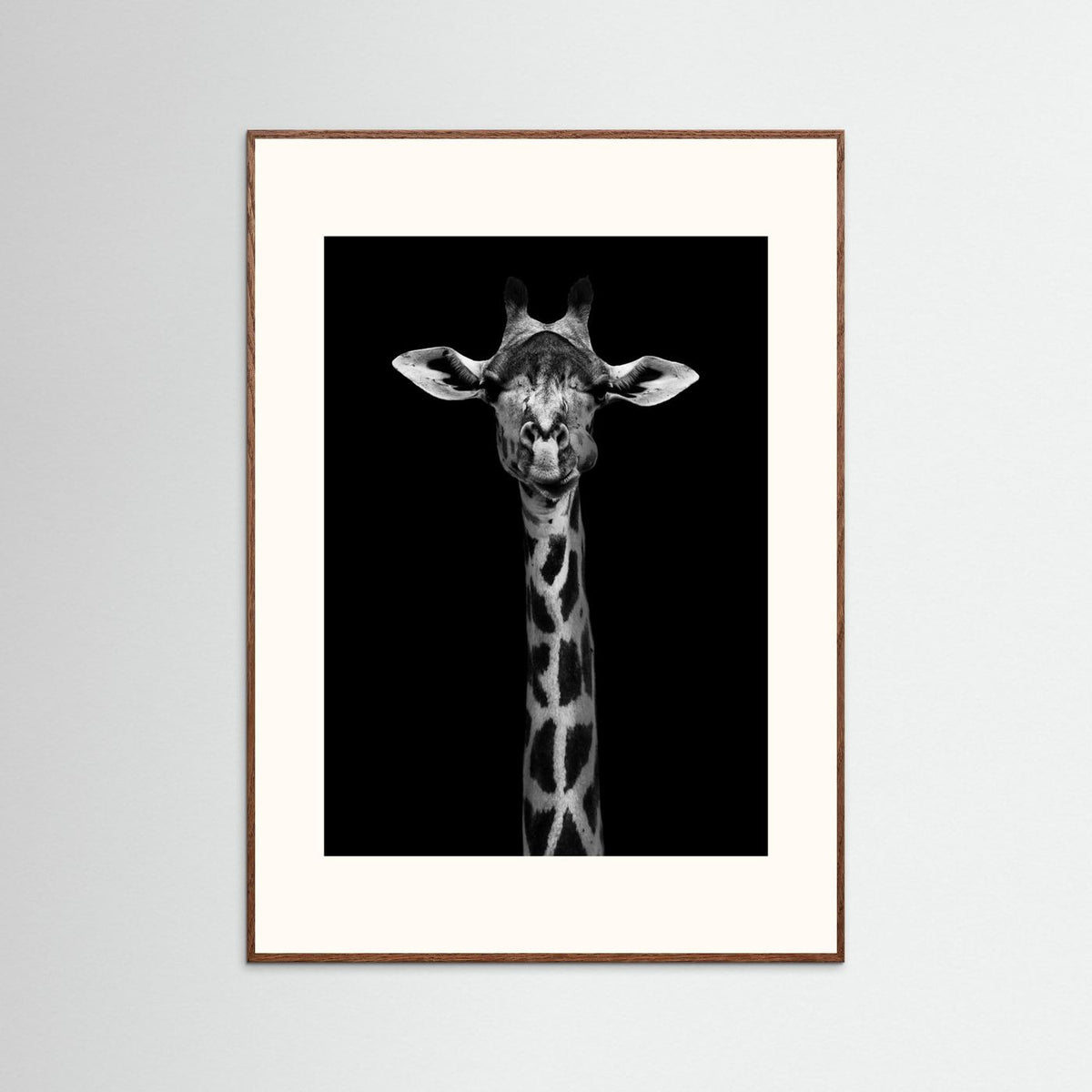 Giraffe Portrait Black & White Photographic Framed Fine Art Print