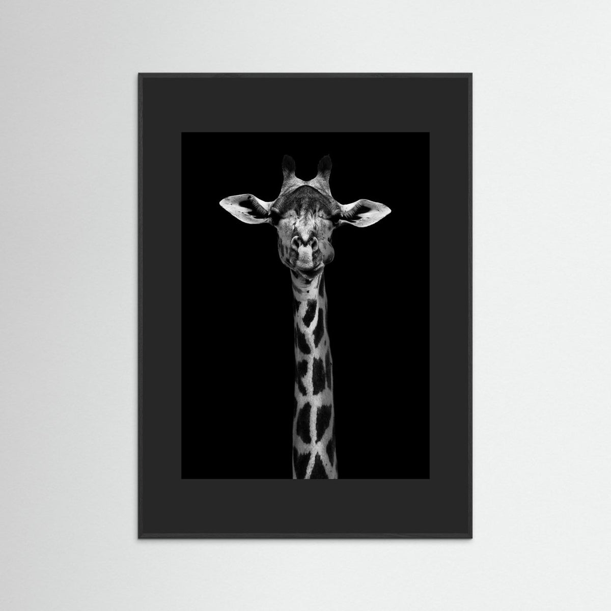 Giraffe Portrait Black & White Photographic Framed Fine Art Print