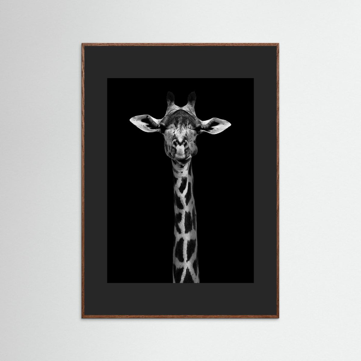 Giraffe Portrait Black & White Photographic Framed Fine Art Print