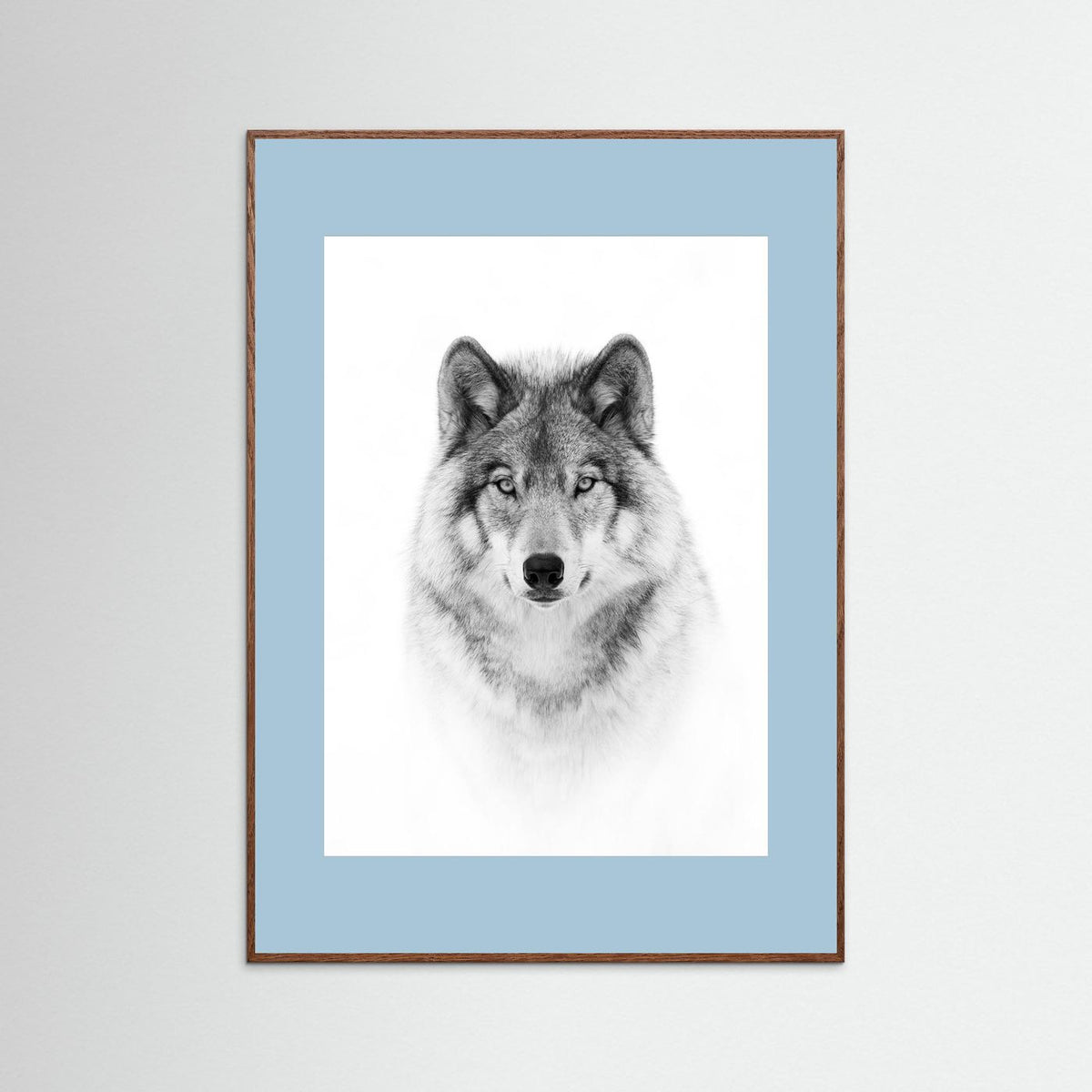 Timber Wolf Portrait Black & White Photographic Framed Fine Art Print