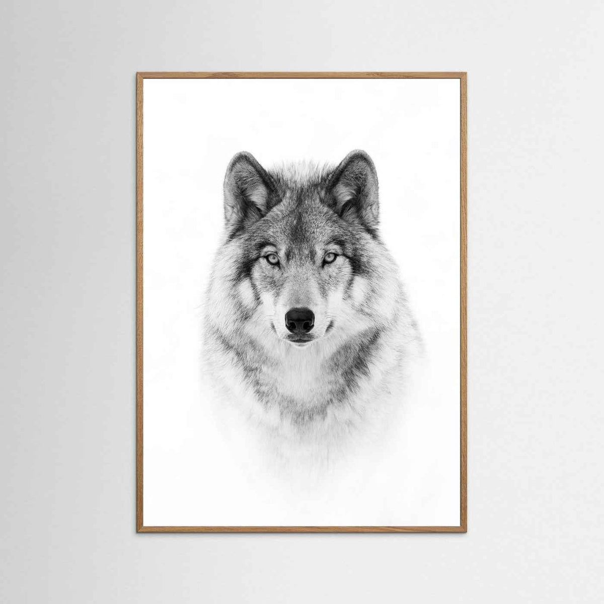Timber Wolf Portrait Black & White Photographic Framed Fine Art Print