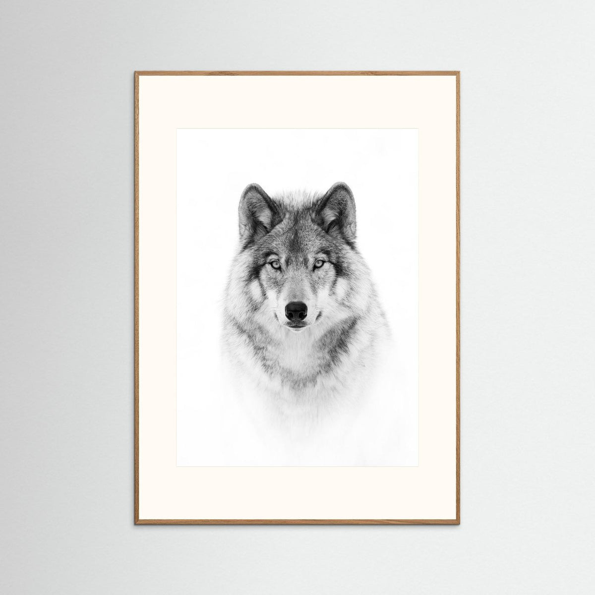 Timber Wolf Portrait Black & White Photographic Framed Fine Art Print