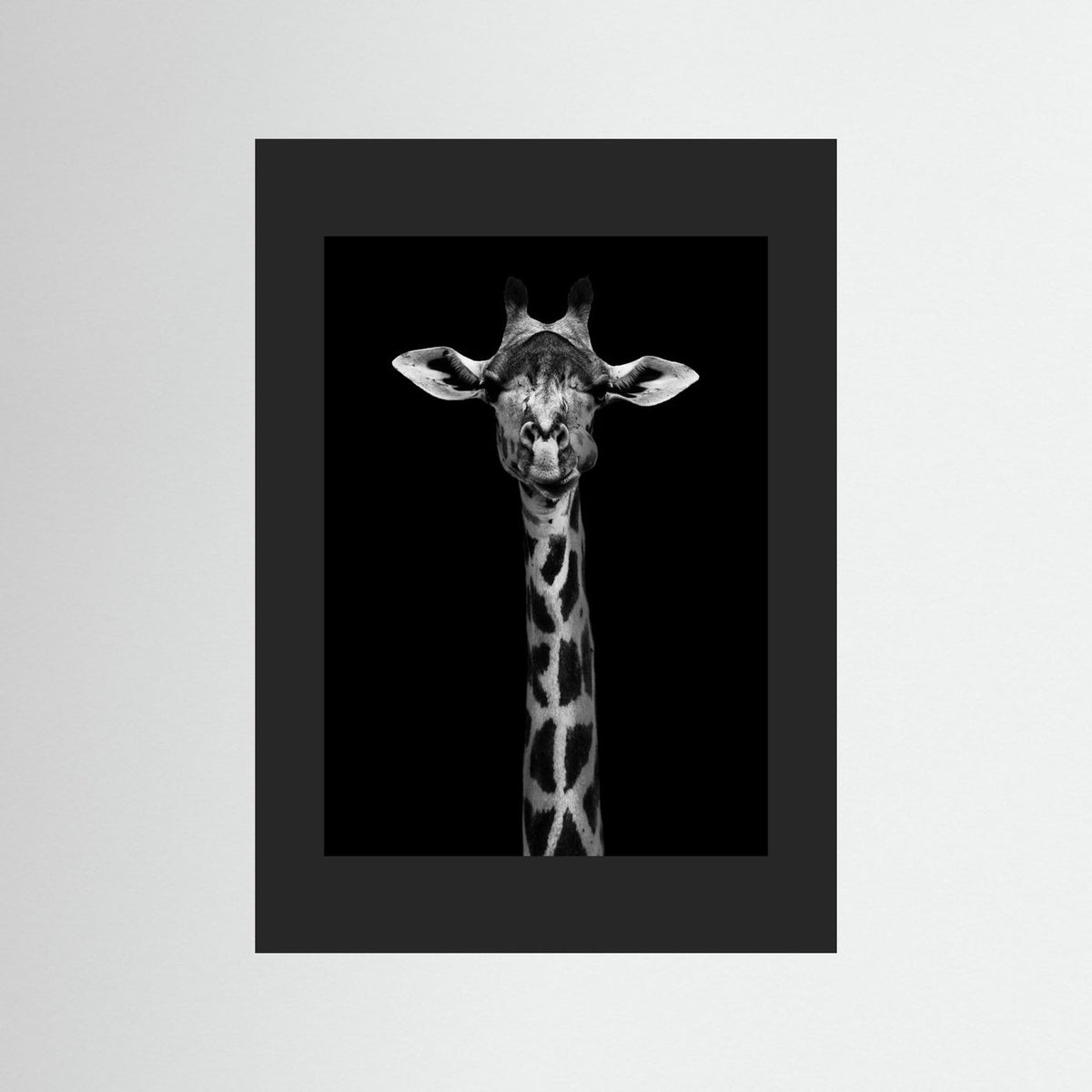Giraffe Portrait Black & White Photographic Framed Fine Art Print