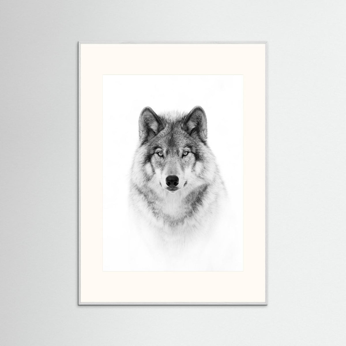 Timber Wolf Portrait Black & White Photographic Framed Fine Art Print