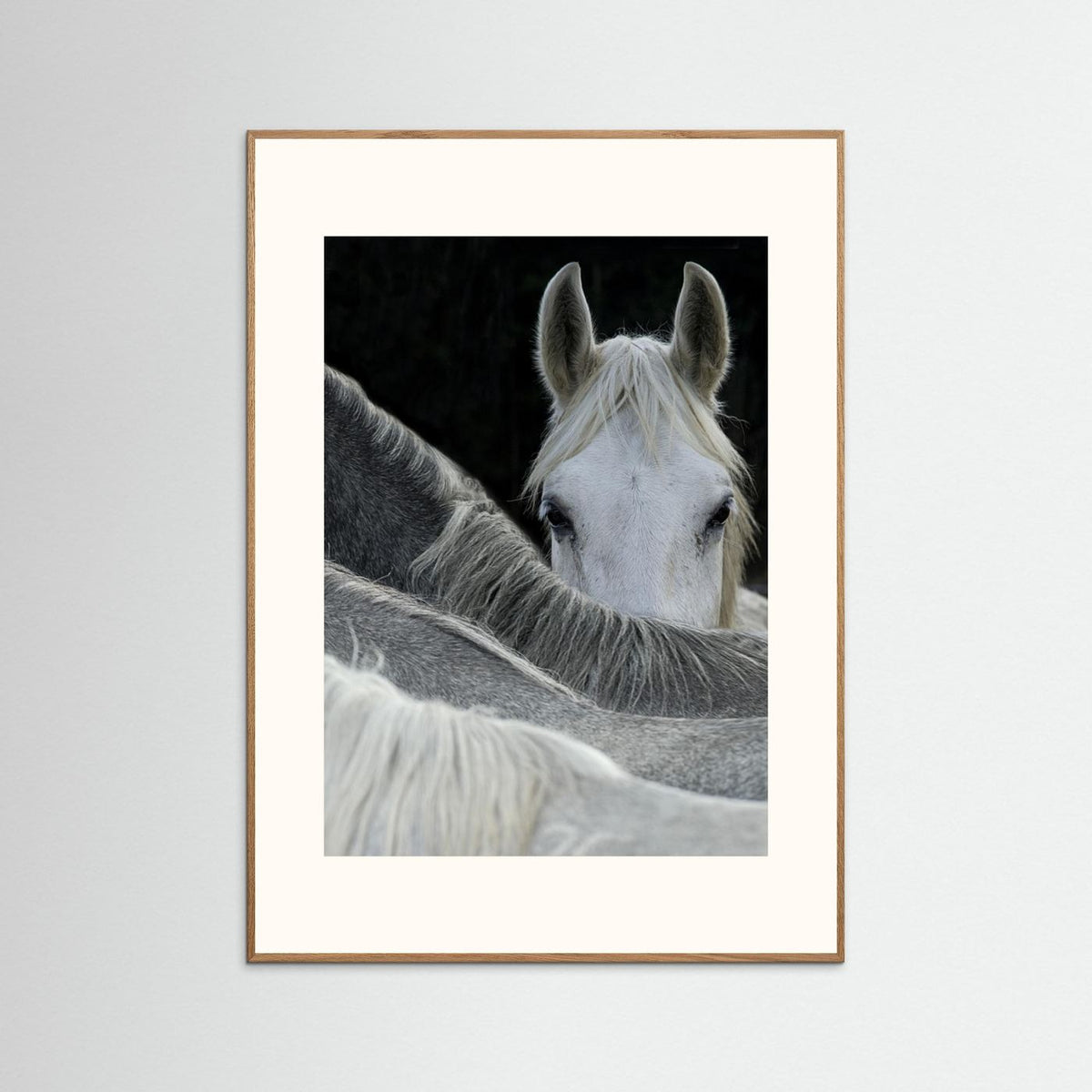 Look White Horse Portrait Photographic Framed Fine Art Print
