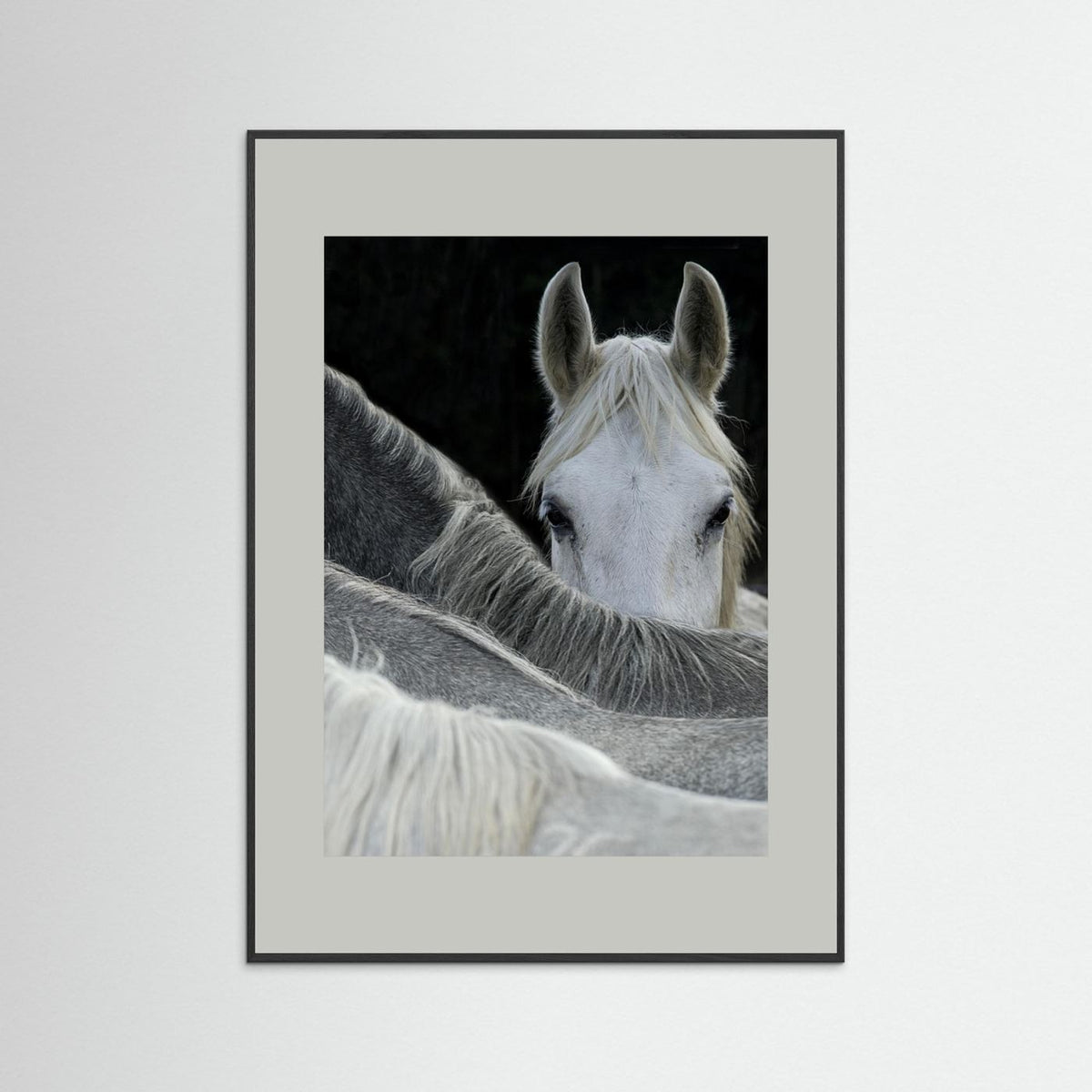Look White Horse Portrait Photographic Framed Fine Art Print