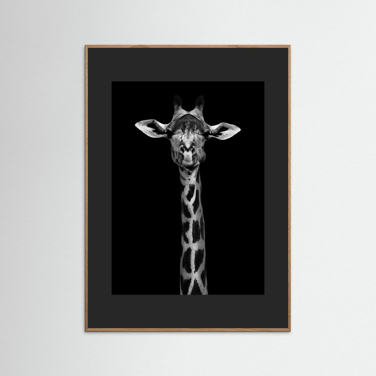 Giraffe Portrait Black & White Photographic Framed Fine Art Print