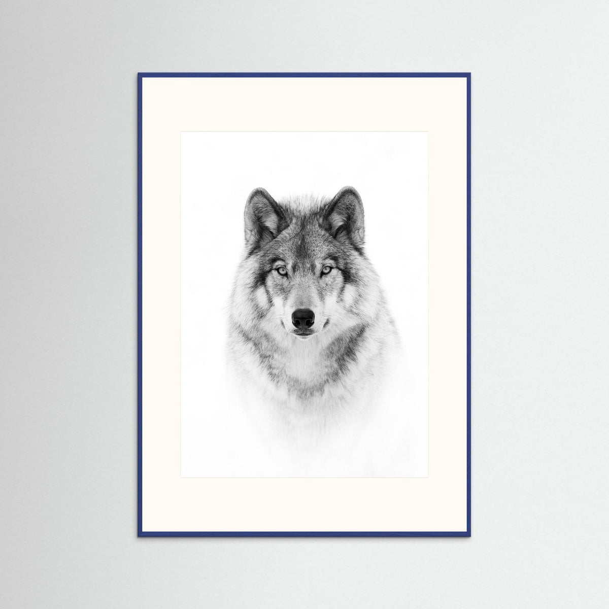 Timber Wolf Portrait Black & White Photographic Framed Fine Art Print